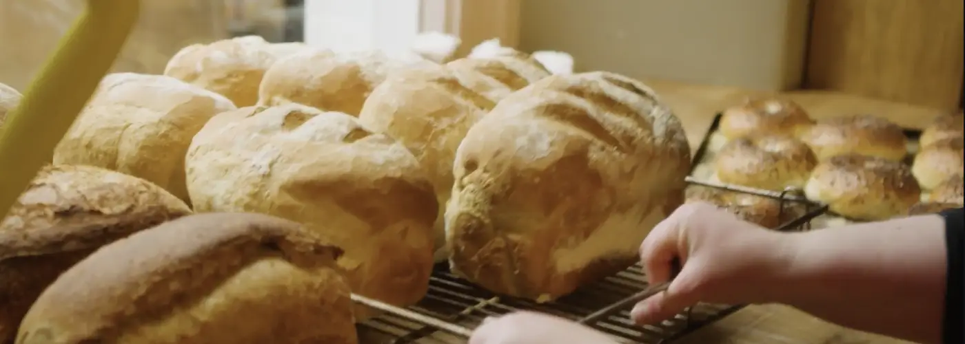 Fresh loaves of bread